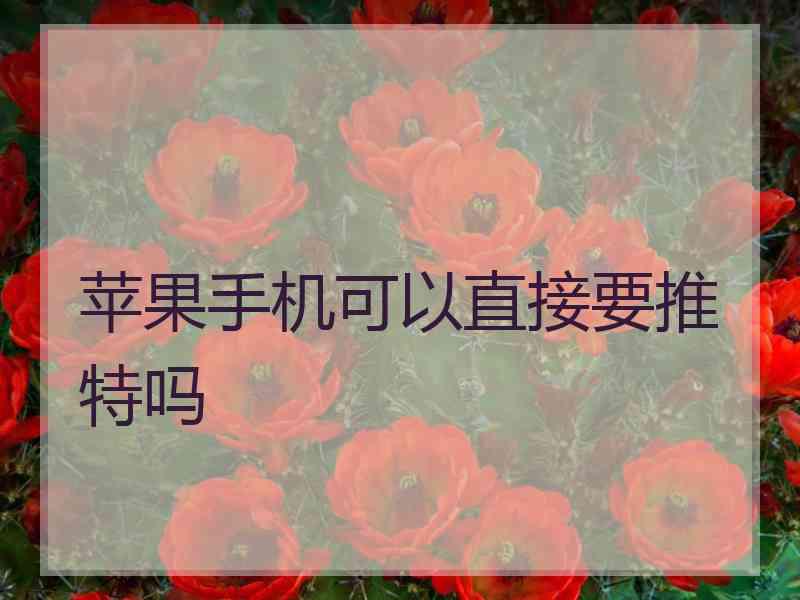 苹果手机可以直接要推特吗