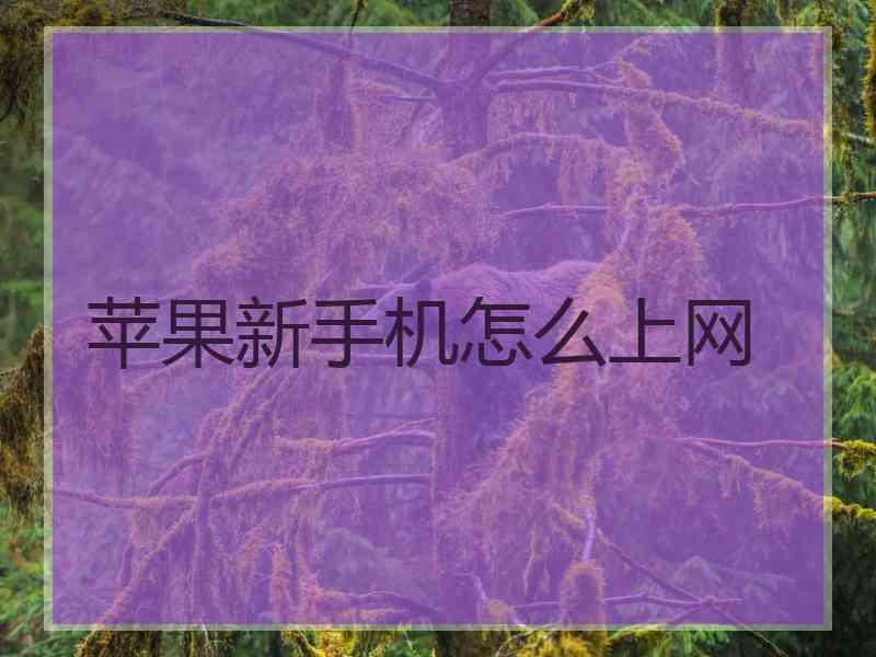 苹果新手机怎么上网