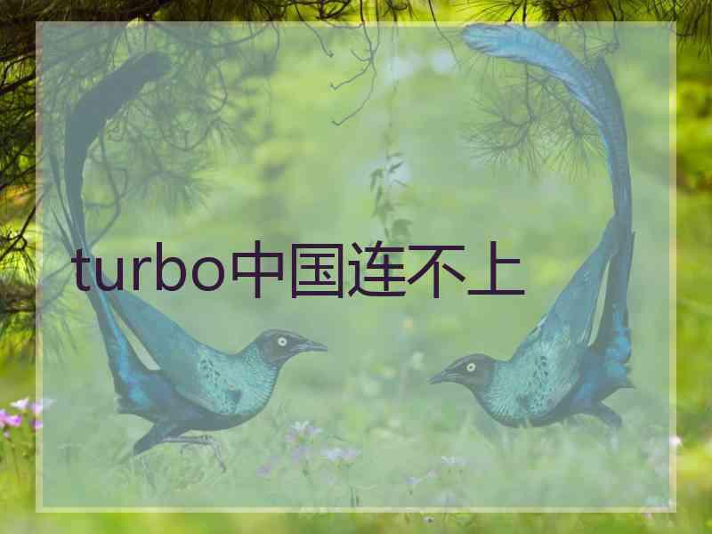 turbo中国连不上