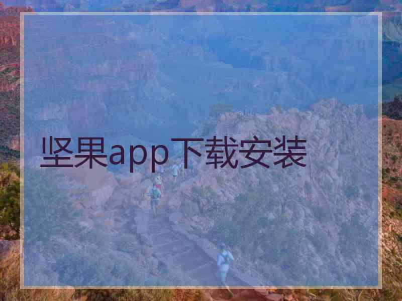 坚果app下载安装