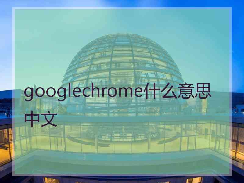 googlechrome什么意思中文