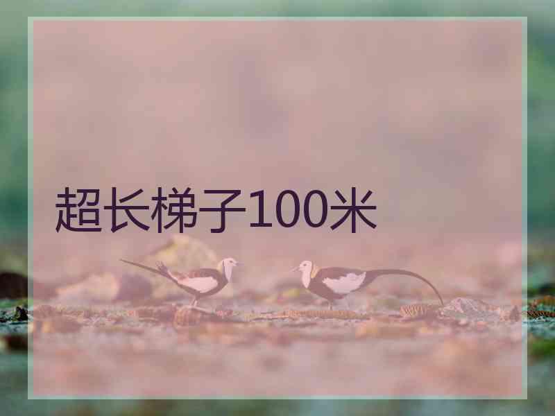 超长梯子100米