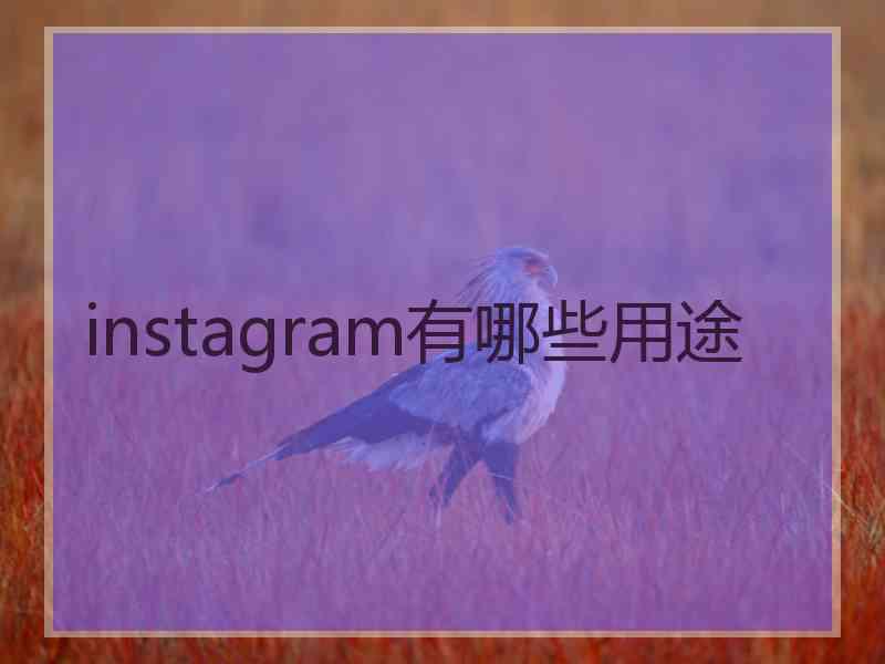 instagram有哪些用途