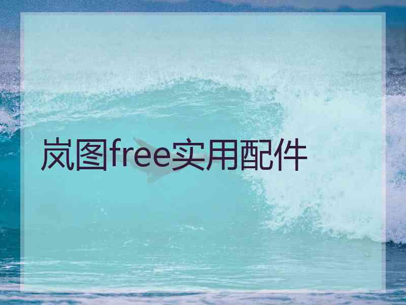 岚图free实用配件