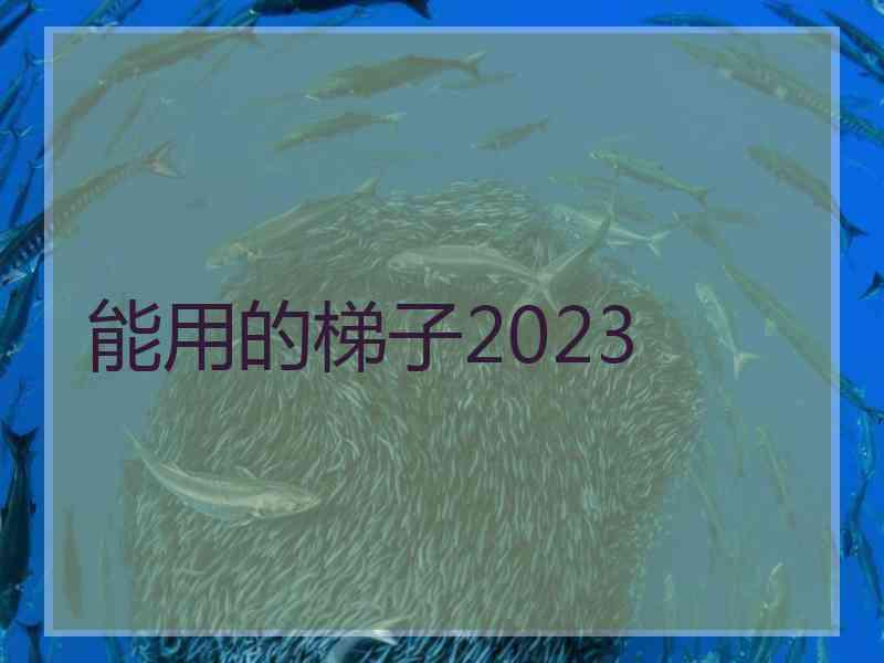 能用的梯子2023