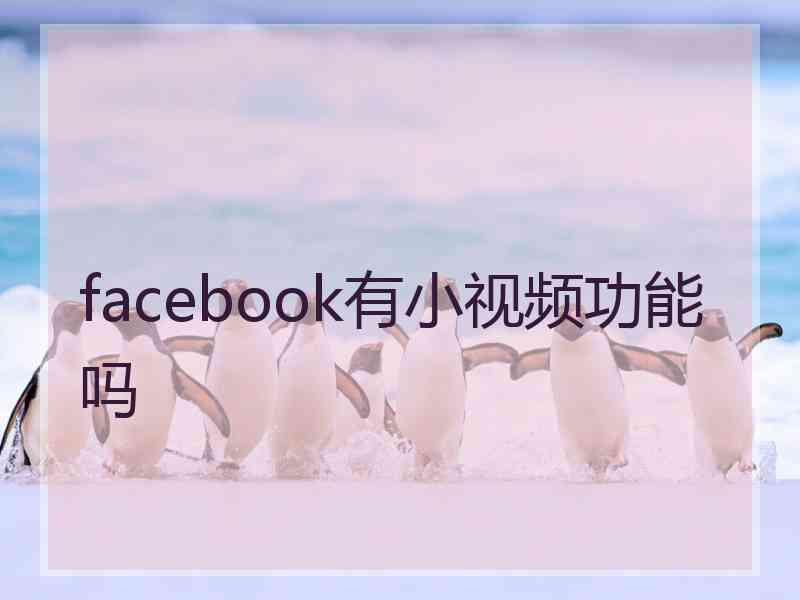 facebook有小视频功能吗