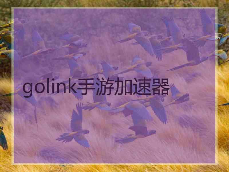 golink手游加速器