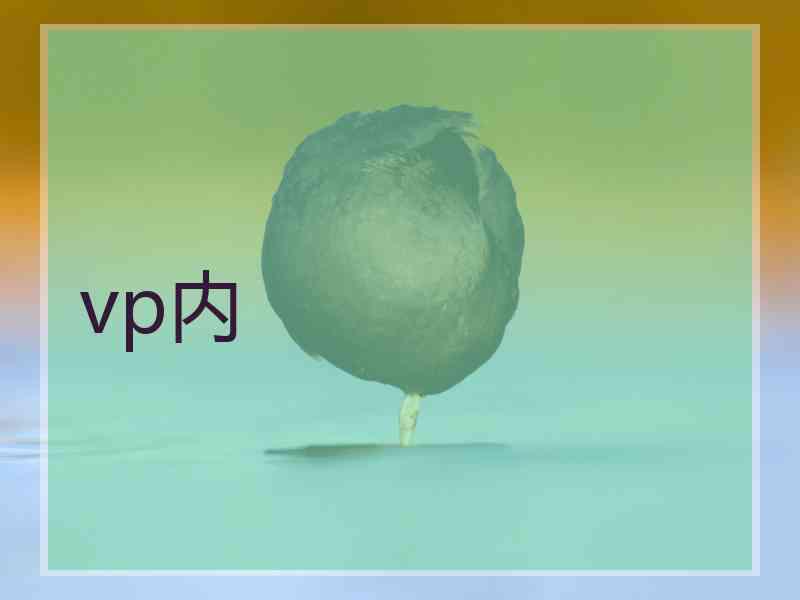 vp内