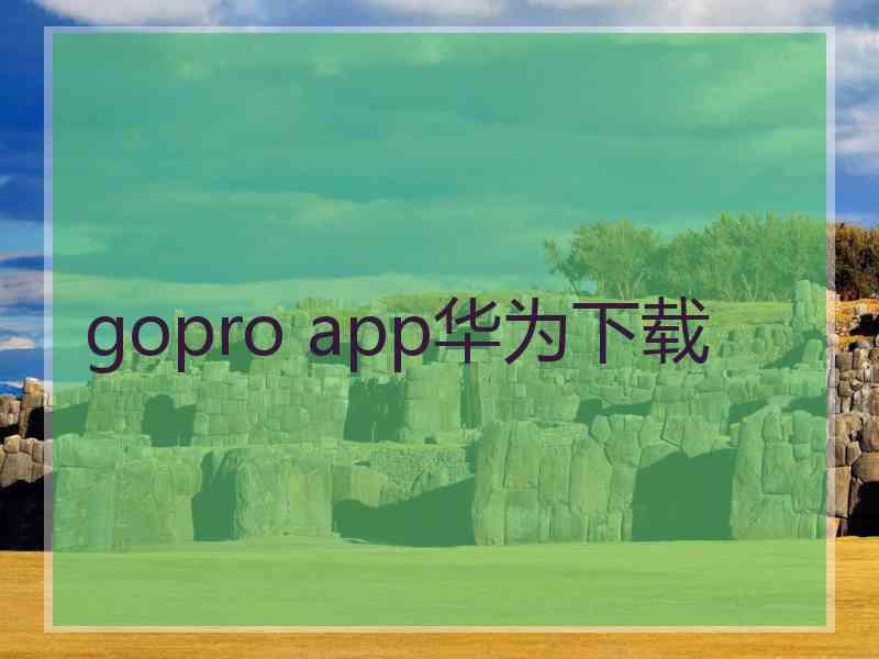 gopro app华为下载