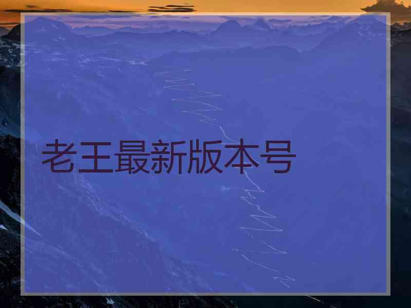 老王最新版本号