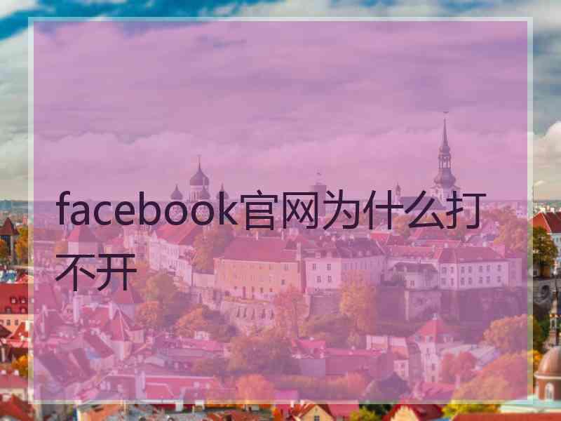 facebook官网为什么打不开