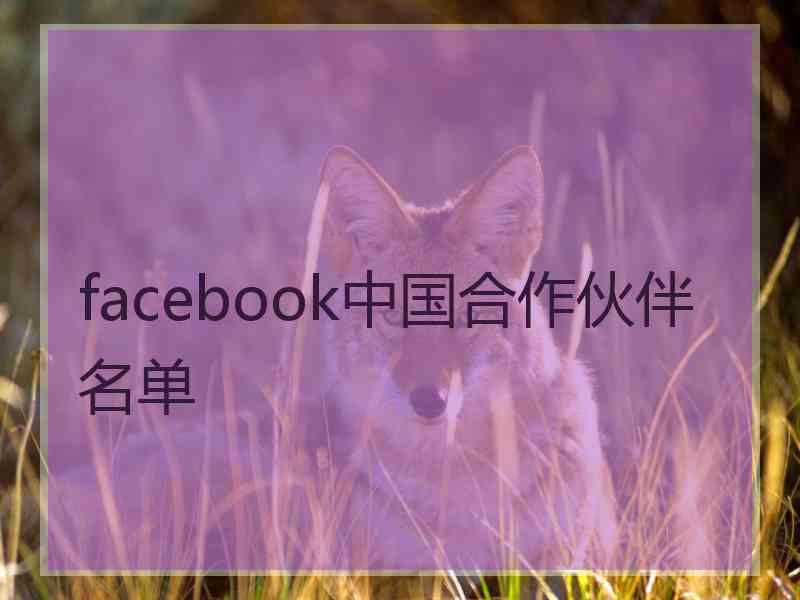 facebook中国合作伙伴名单