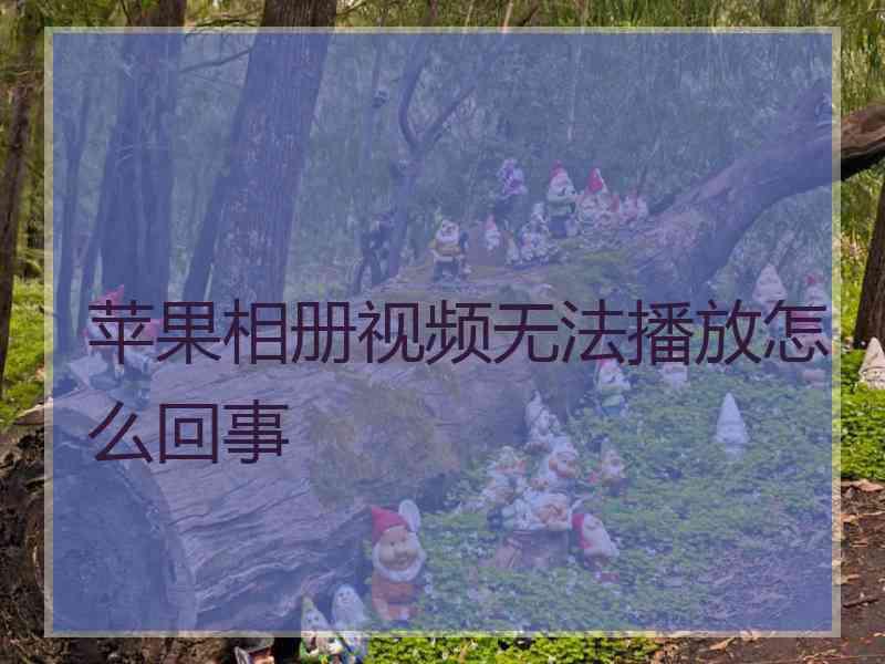 苹果相册视频无法播放怎么回事