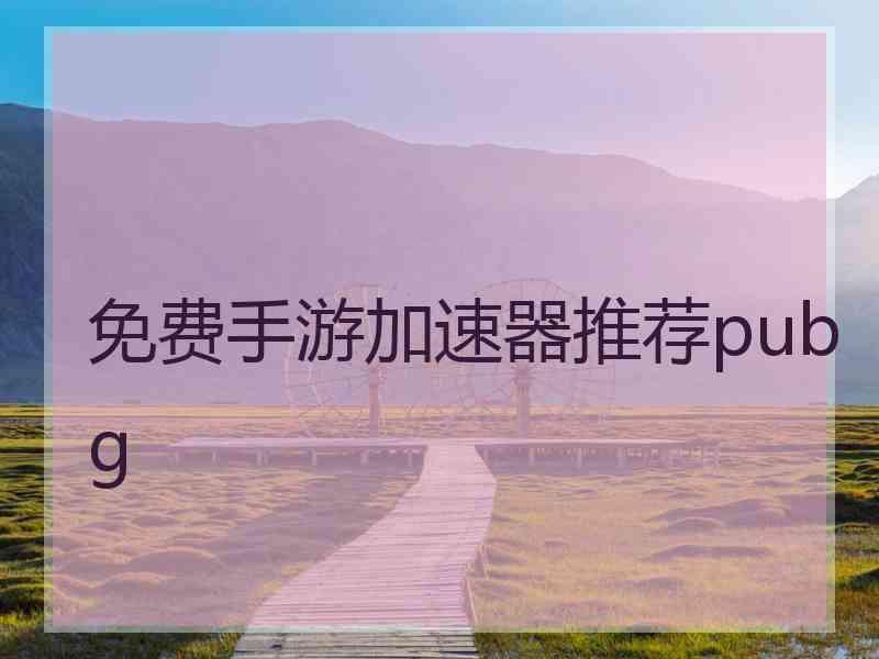 免费手游加速器推荐pubg