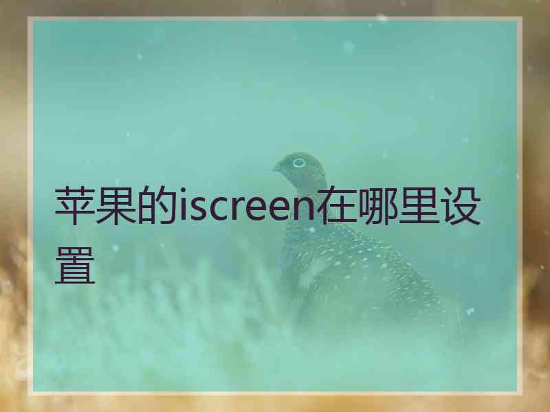 苹果的iscreen在哪里设置