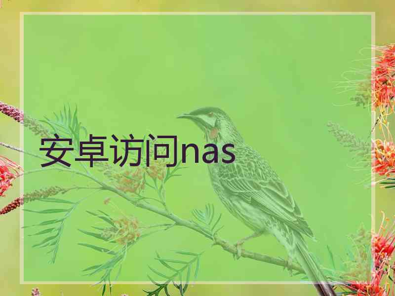 安卓访问nas