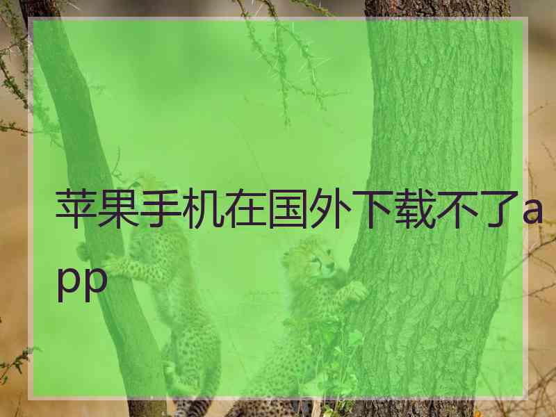 苹果手机在国外下载不了app