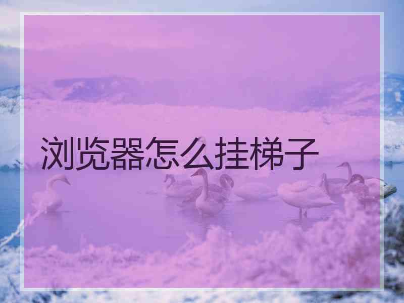 浏览器怎么挂梯子