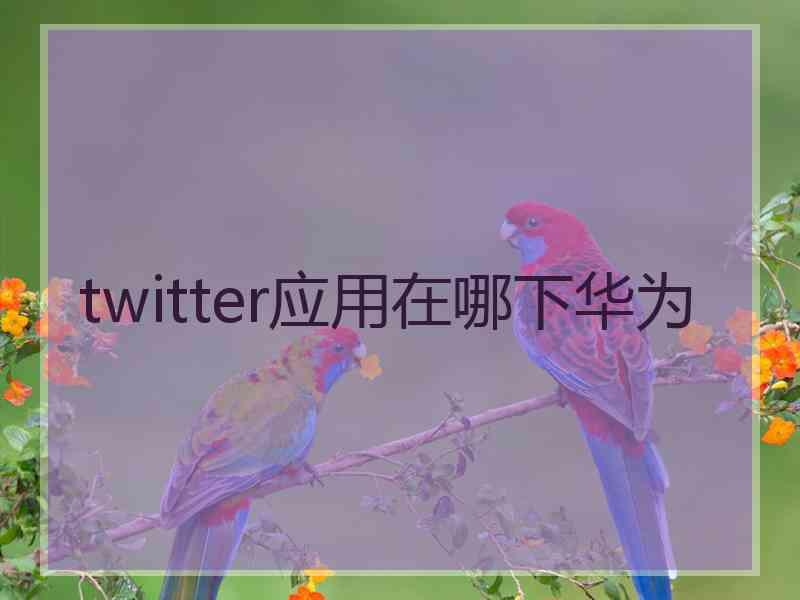 twitter应用在哪下华为