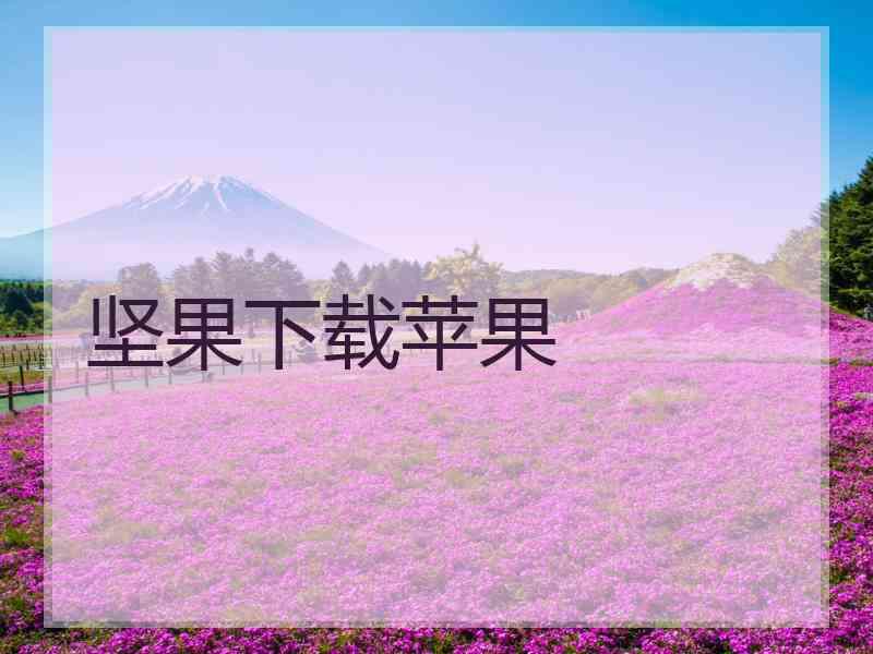 坚果下载苹果