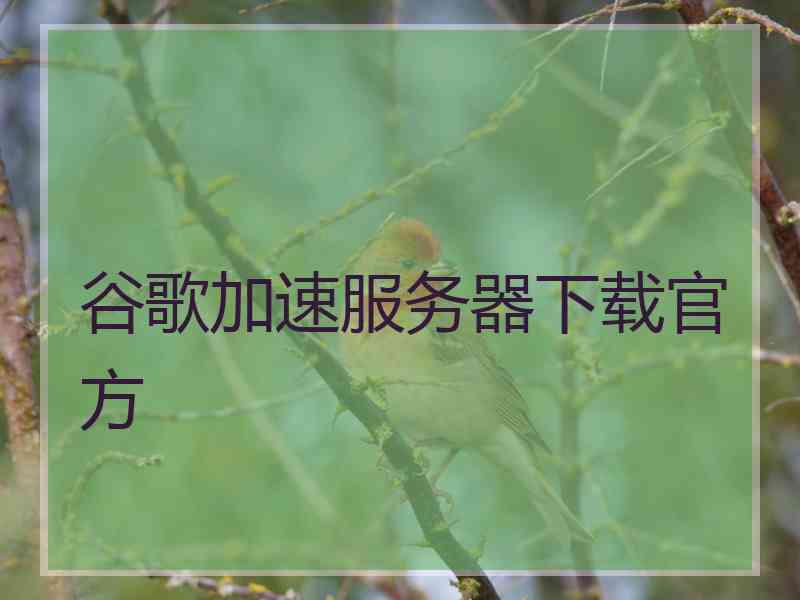 谷歌加速服务器下载官方