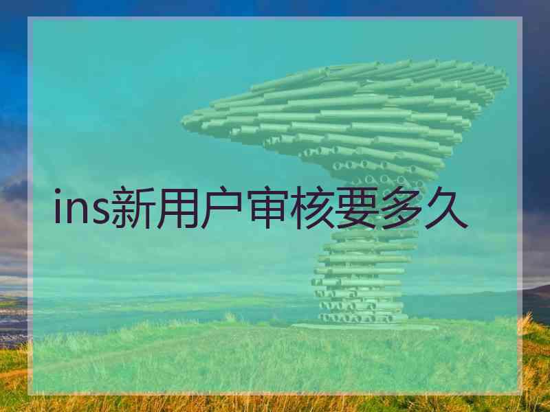 ins新用户审核要多久