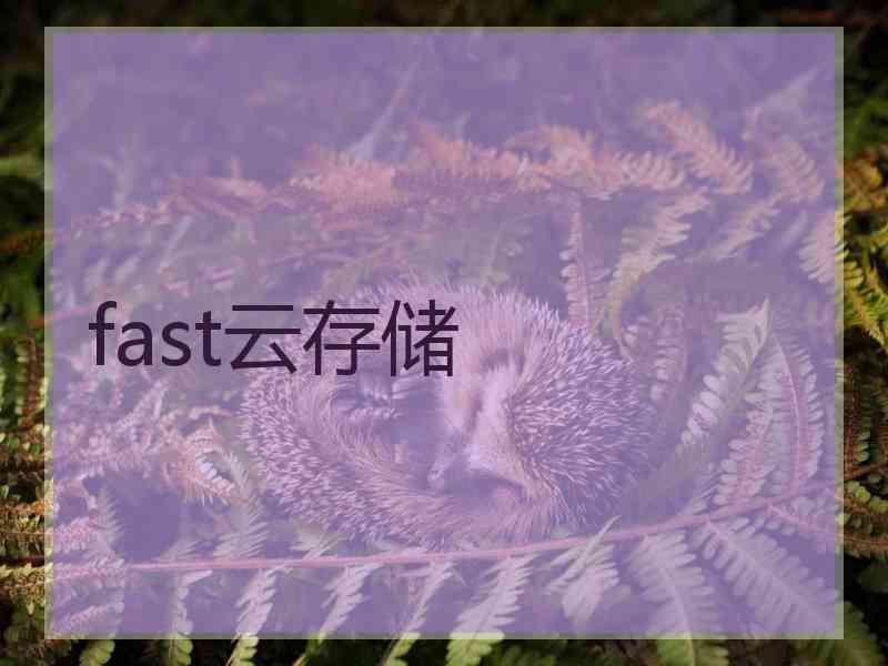 fast云存储