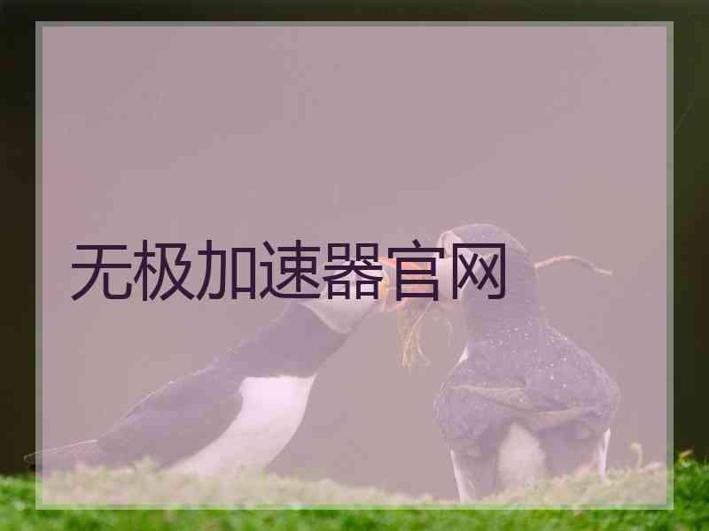 无极加速器官网