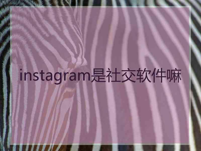 instagram是社交软件嘛