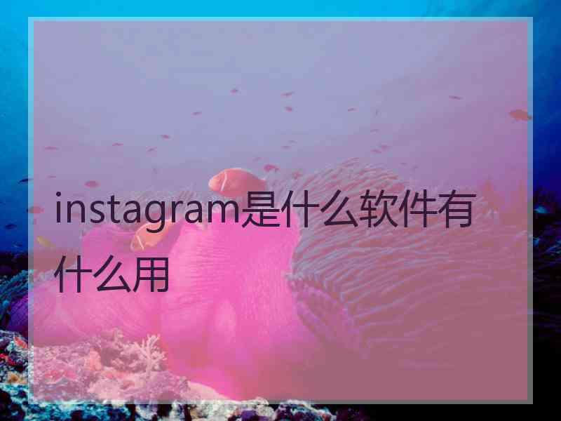 instagram是什么软件有什么用