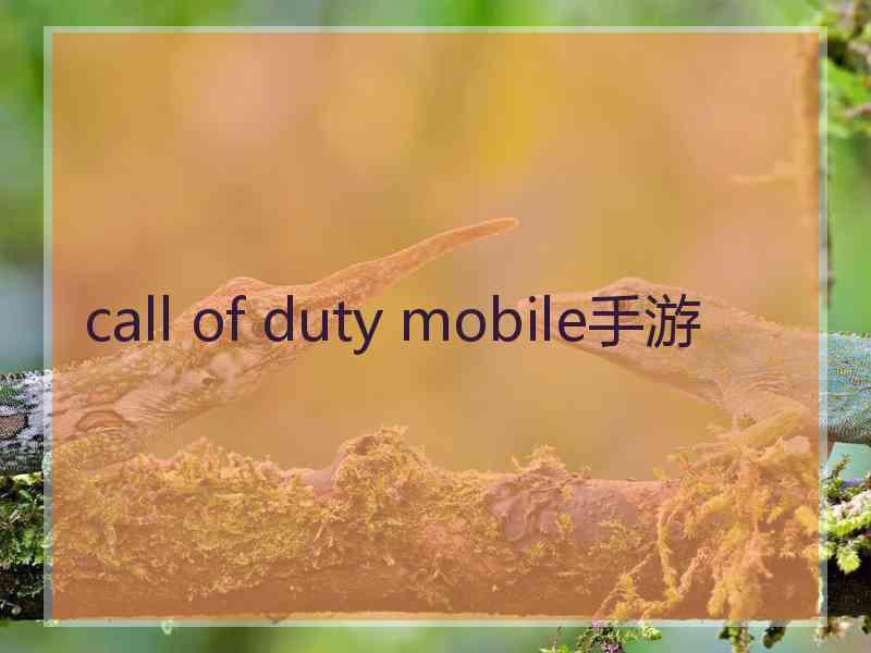 call of duty mobile手游