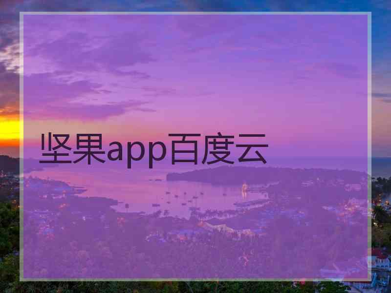 坚果app百度云