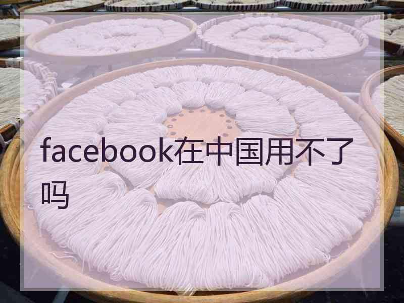 facebook在中国用不了吗