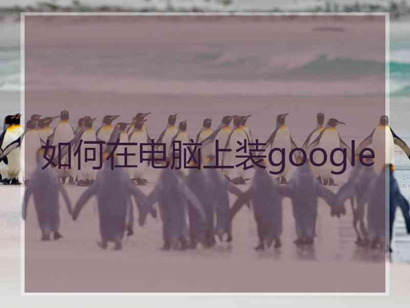 如何在电脑上装google