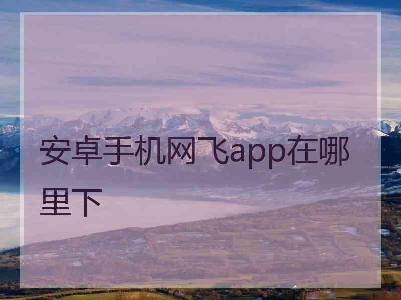 安卓手机网飞app在哪里下