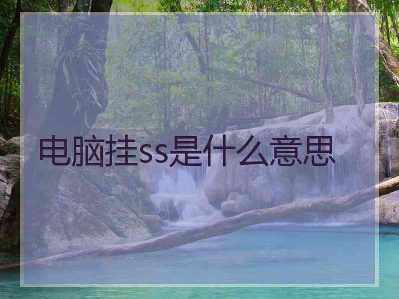 电脑挂ss是什么意思