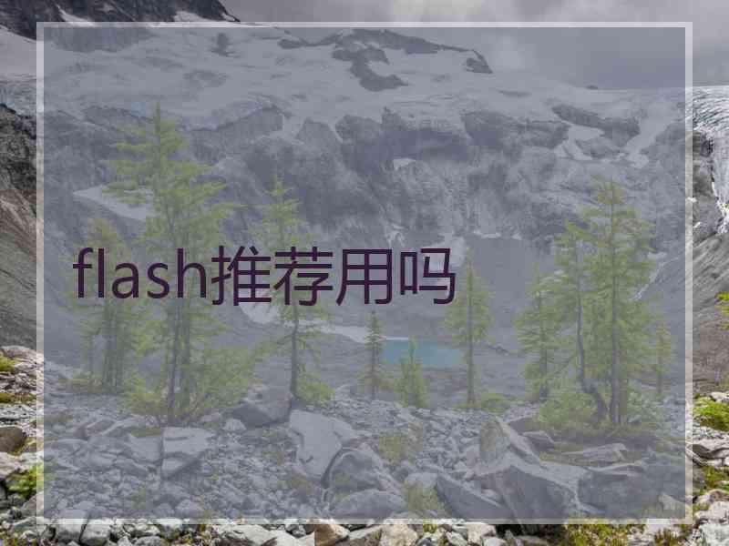 flash推荐用吗